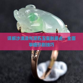 详解沙漠漆与泥石玉鉴别要点：全面掌握识别技巧