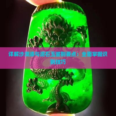 详解沙漠漆与泥石玉鉴别要点：全面掌握识别技巧