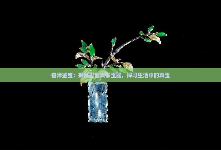 睿泽鉴宝：揭秘里面真假玉器，探寻生活中的真玉