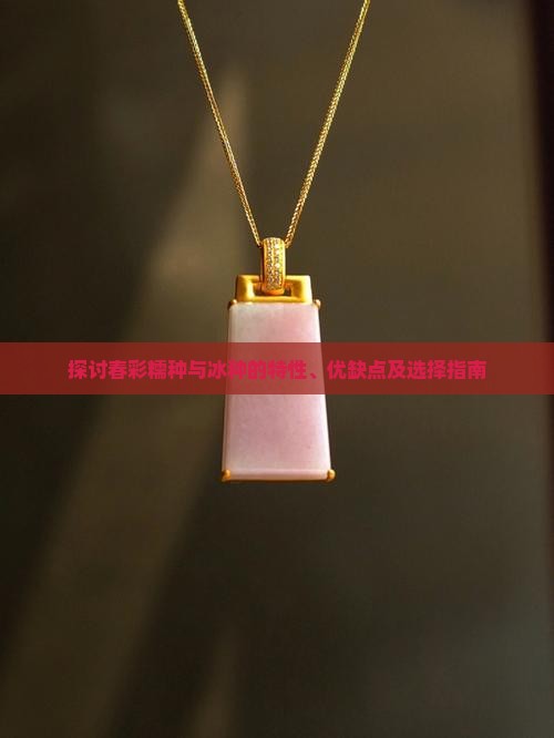 探讨春彩糯种与冰种的特性、优缺点及选择指南