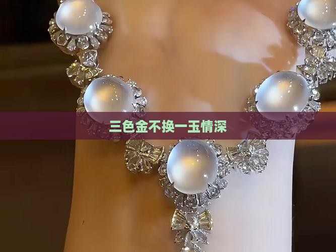三色金不换一玉情深