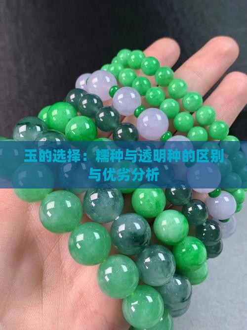 玉的选择：糯种与透明种的区别与优劣分析