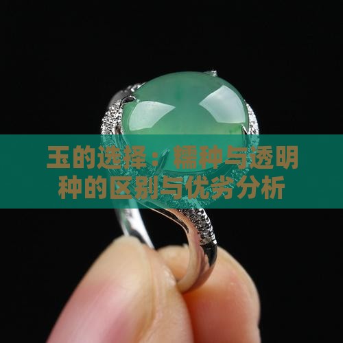 玉的选择：糯种与透明种的区别与优劣分析