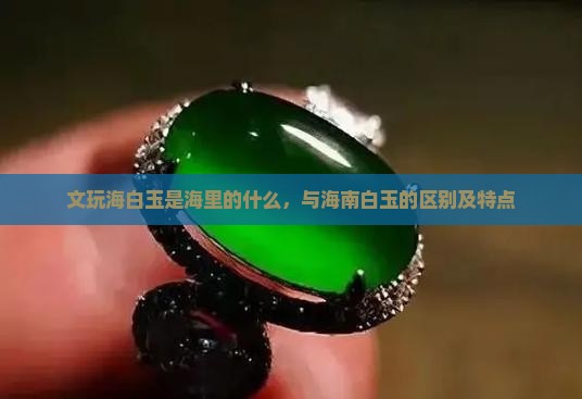 文玩海白玉是海里的什么，与海南白玉的区别及特点