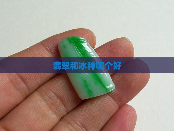 绿翡翠和冰种哪个好