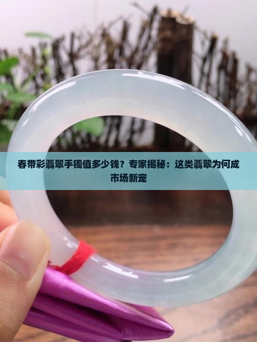 春带彩翡翠手镯值多少钱