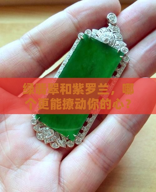 绿翡翠和紫罗兰哪个好