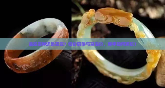 翡翠买种还是买翠