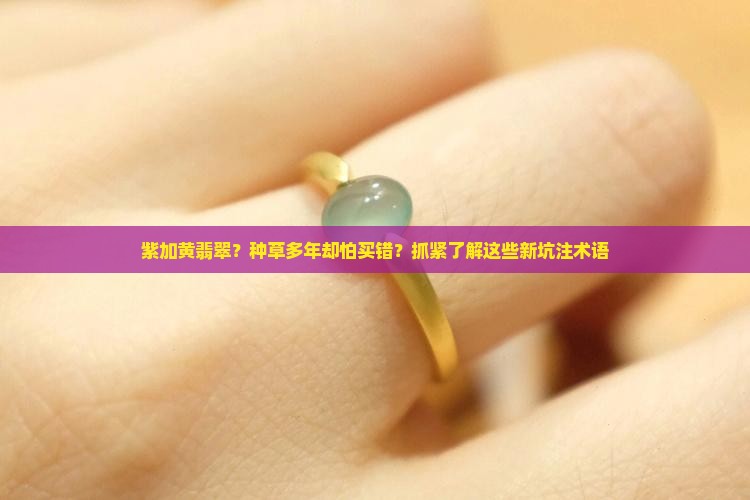 紫加黄翡翠
