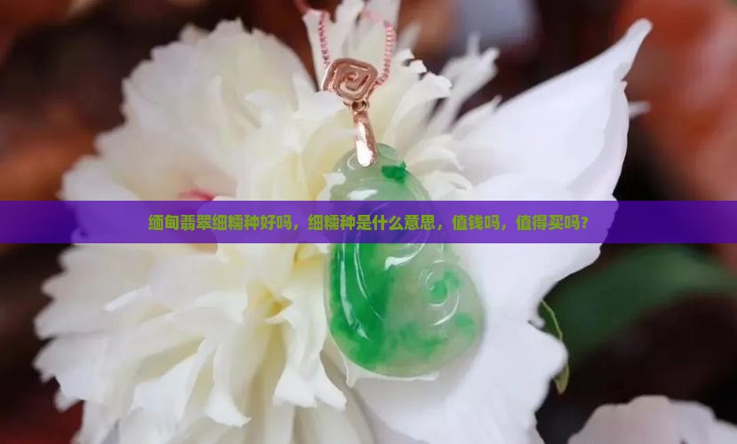 缅甸翡翠细糯种好吗