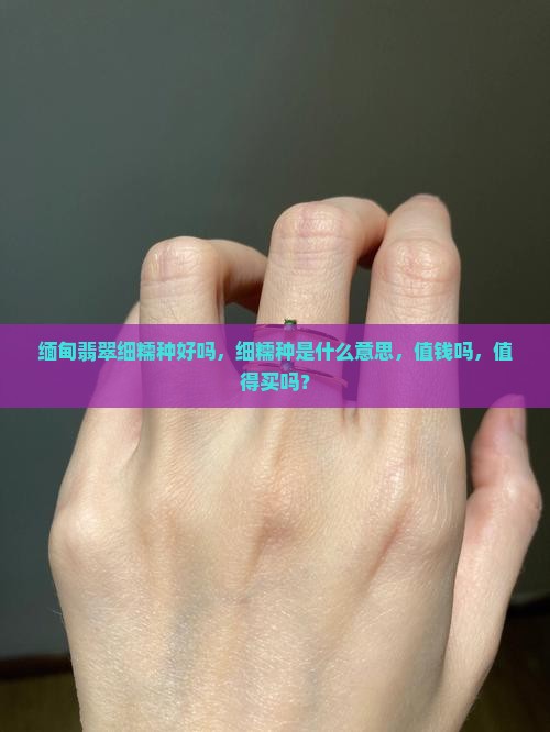 缅甸翡翠细糯种好吗
