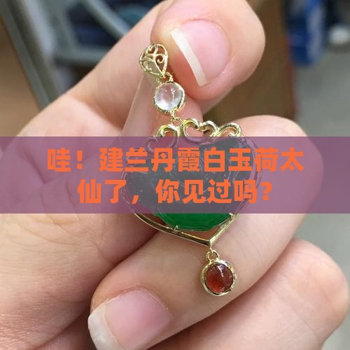 建兰丹霞白玉荷