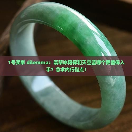 翡翠冰阳禄和天空蓝哪个品质更好些