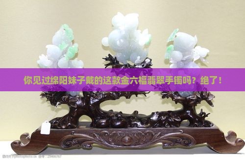 绵阳金六福翡翠手镯