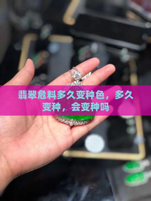 翡翠危料多久变种