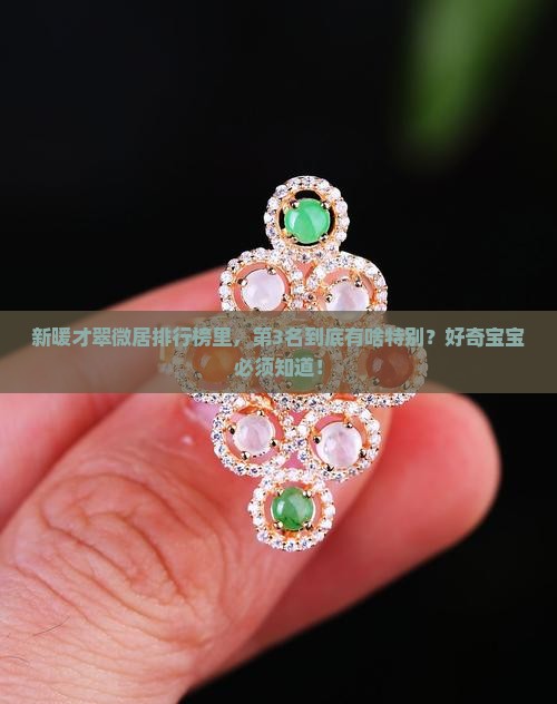 新暖才翠微居排行榜