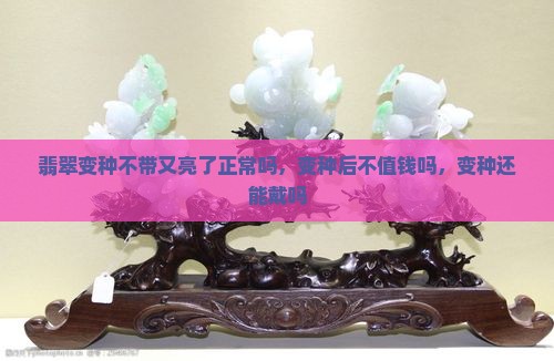 翡翠变种不带又亮了正常吗