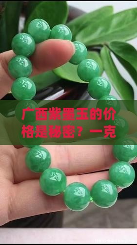 广西紫墨玉多少钱一克