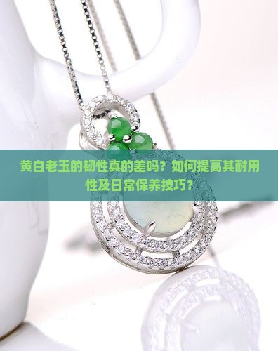 黄白老玉韧性差