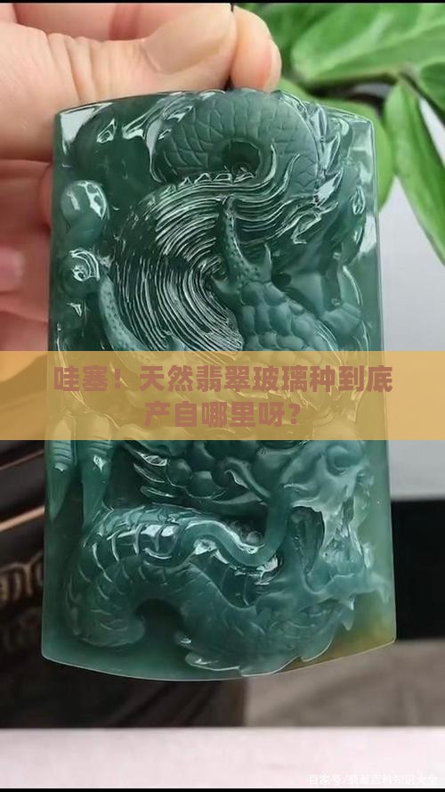 天然翡翠玻璃种有那些产地