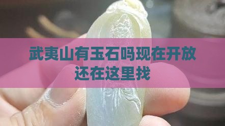 武夷山有玉石吗现在 武夷山有玉石吗现在