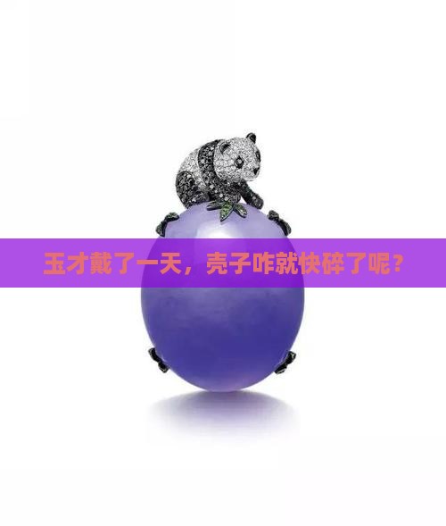 玉才带了一天壳子两下要碎