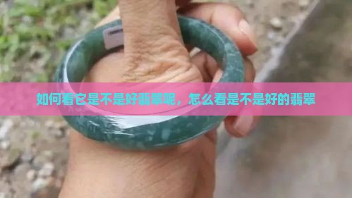如何看它是不是好翡翠呢
