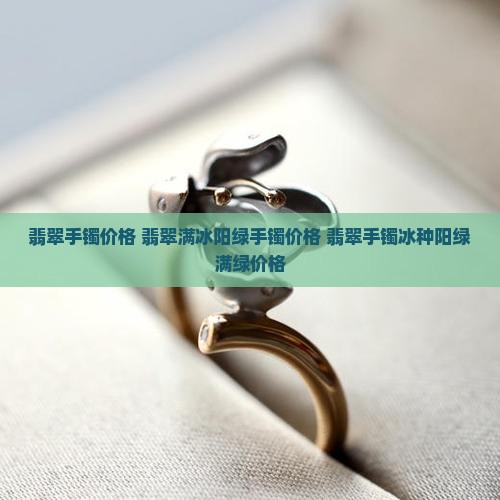 翡翠满冰阳绿手镯价格