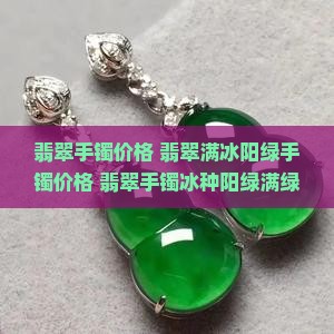 翡翠满冰阳绿手镯价格