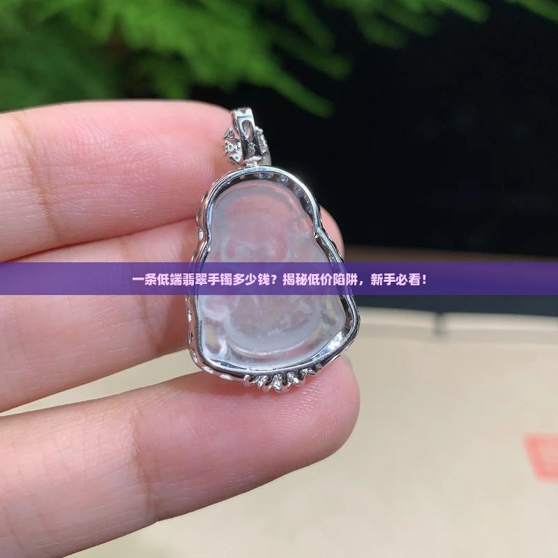 一条低端翡翠手镯多少钱