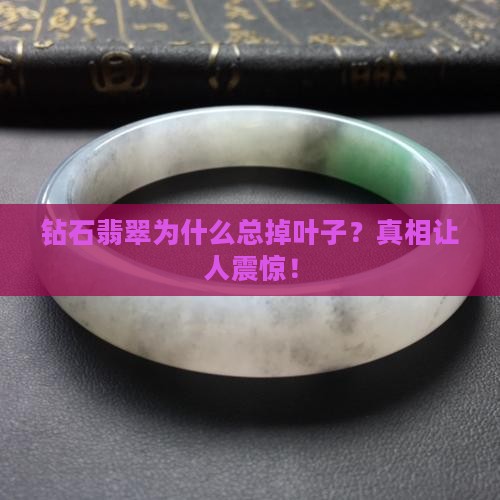 钻石翡翠为什么总掉叶子