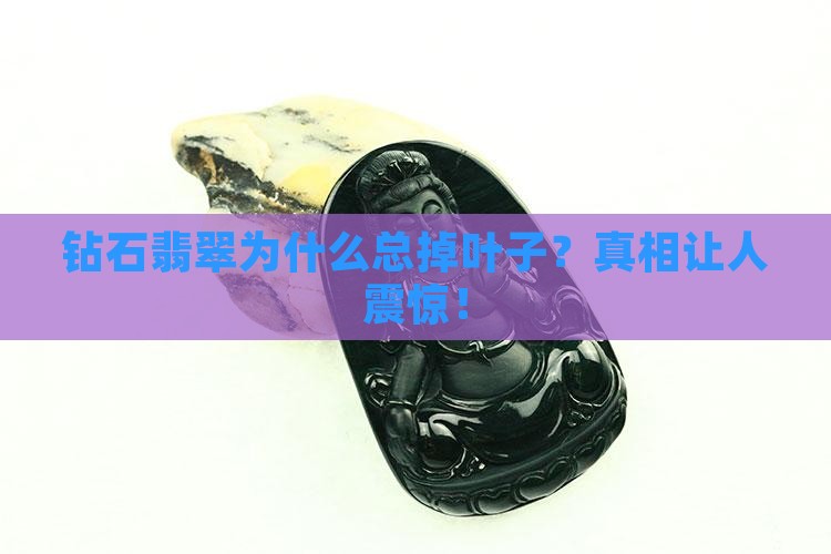 钻石翡翠为什么总掉叶子