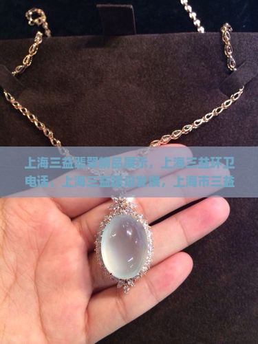 上海三益翡翠精品展示