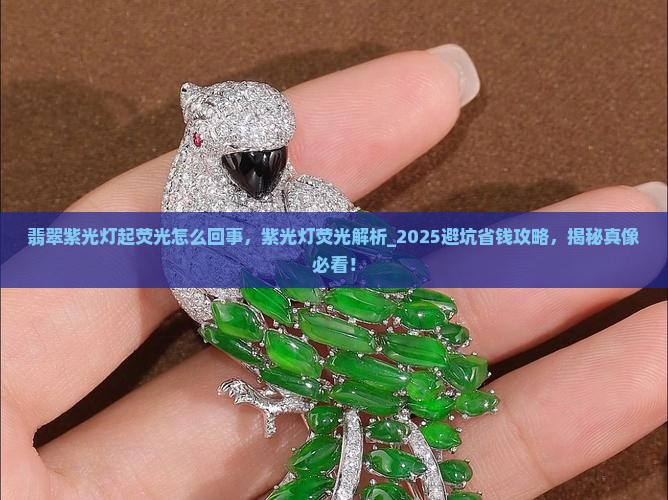 翡翠紫光灯起荧光怎么回事