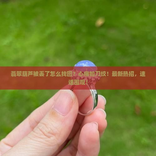 翡翠葫芦被丢了怎么找回