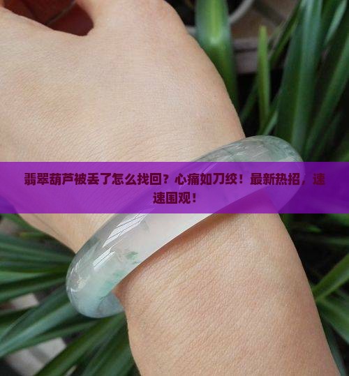 翡翠葫芦被丢了怎么找回