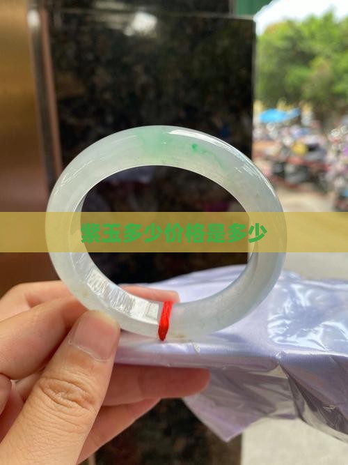 紫玉一般多少价位