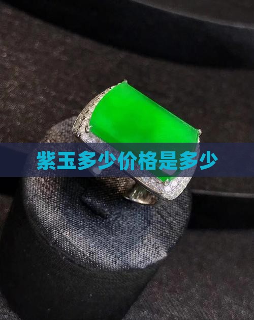 紫玉一般多少价位