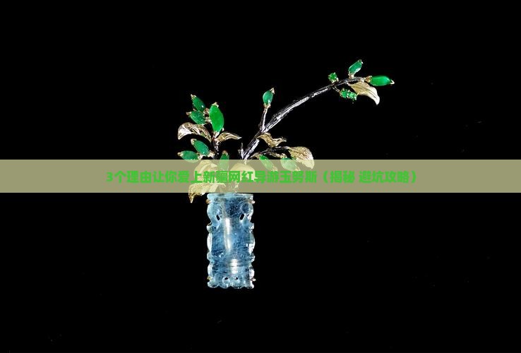 新疆网红导游玉努斯