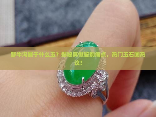 野牛沟属于什么玉
