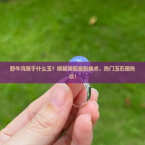 野牛沟属于什么玉