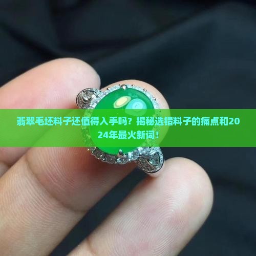 翡翠毛坯料子