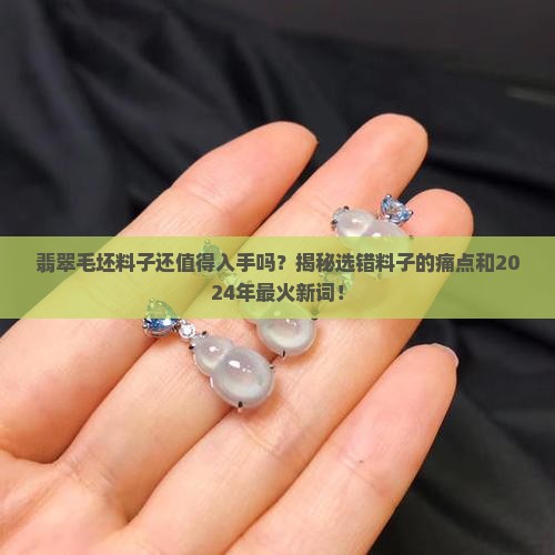 翡翠毛坯料子
