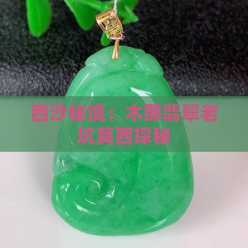 西沙秘境：木那翡翠老坑莫西探秘