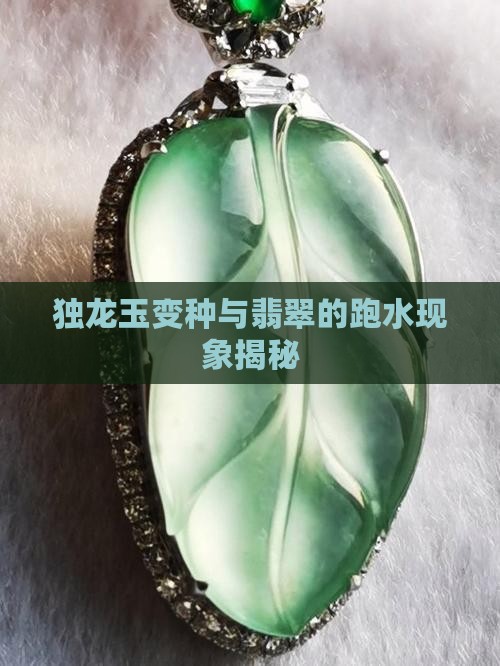 独龙玉变种与翡翠的跑水现象揭秘