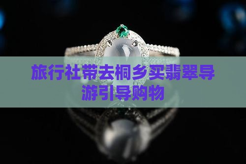 旅行社带去桐乡买翡翠导游引导购物