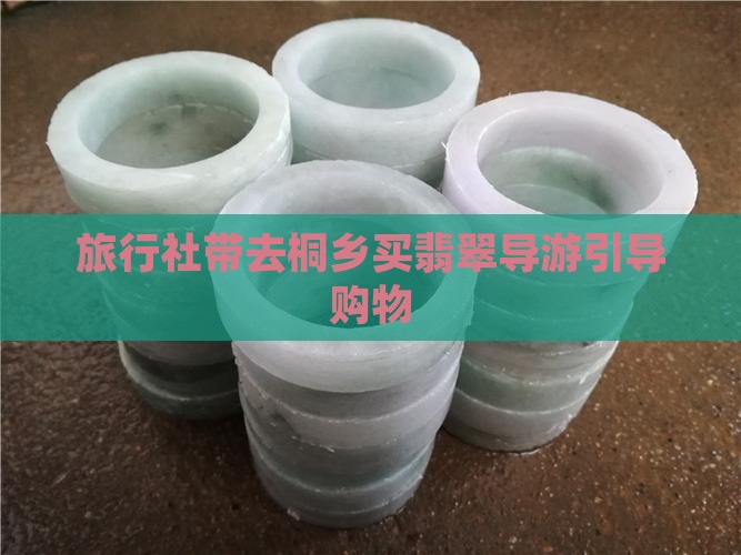 旅行社带去桐乡买翡翠导游引导购物