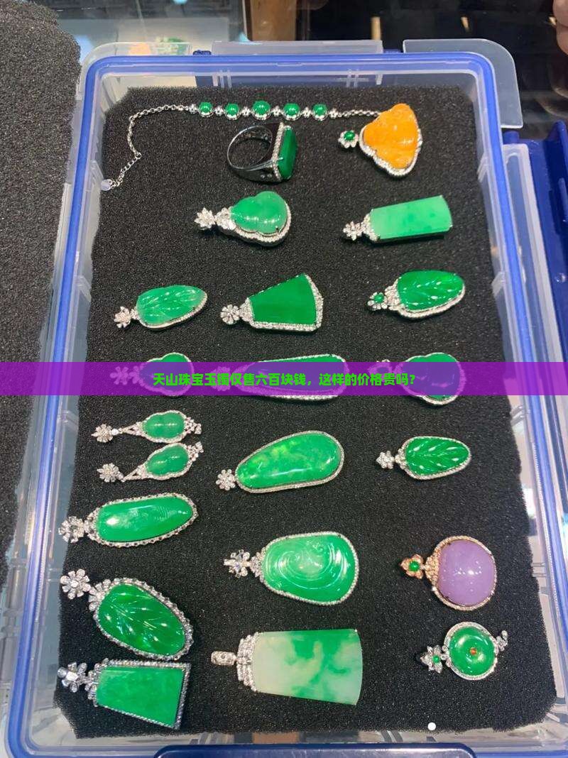 天山珠宝玉镯仅售六百块钱，这样的价格贵吗？