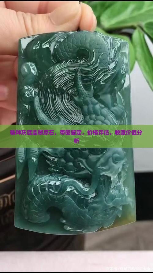 糯种灰底翡翠原石，带图鉴定，价格评估，收藏价值分析