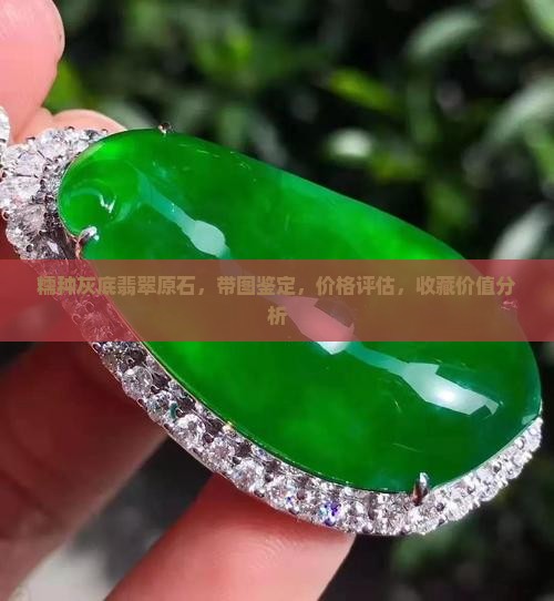 糯种灰底翡翠原石，带图鉴定，价格评估，收藏价值分析